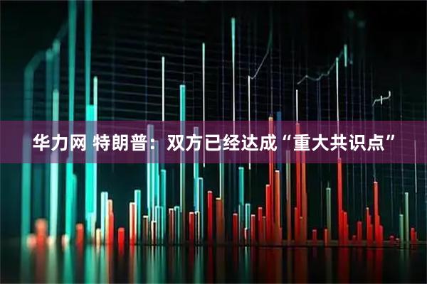 华力网 特朗普：双方已经达成“重大共识点”