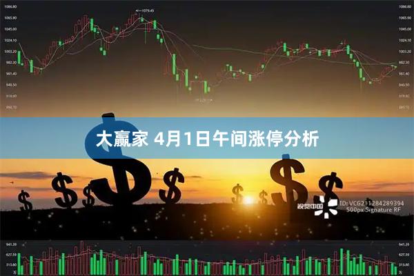 大赢家 4月1日午间涨停分析