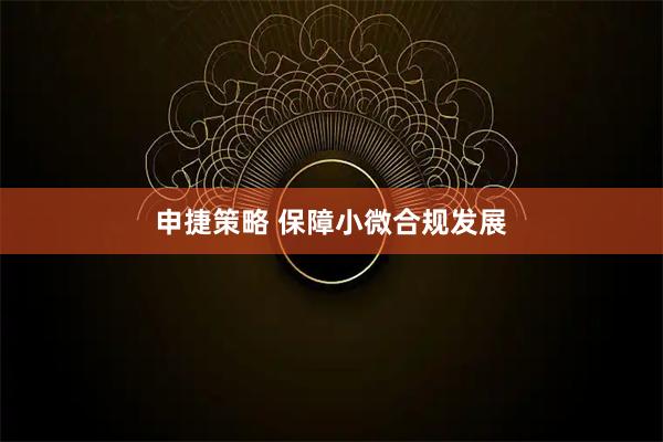 申捷策略 保障小微合规发展