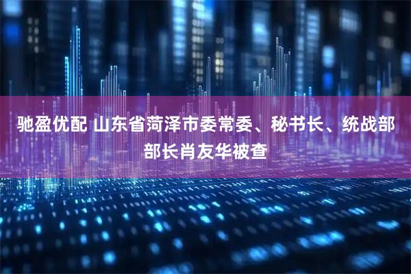 驰盈优配 山东省菏泽市委常委、秘书长、统战部部长肖友华被查