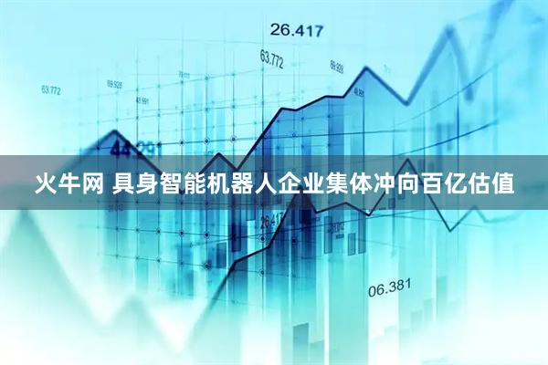 火牛网 具身智能机器人企业集体冲向百亿估值