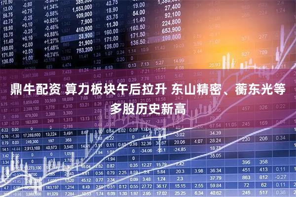 鼎牛配资 算力板块午后拉升 东山精密、蘅东光等多股历史新高
