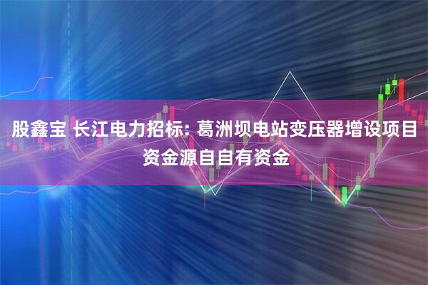 股鑫宝 长江电力招标: 葛洲坝电站变压器增设项目 资金源自自有资金