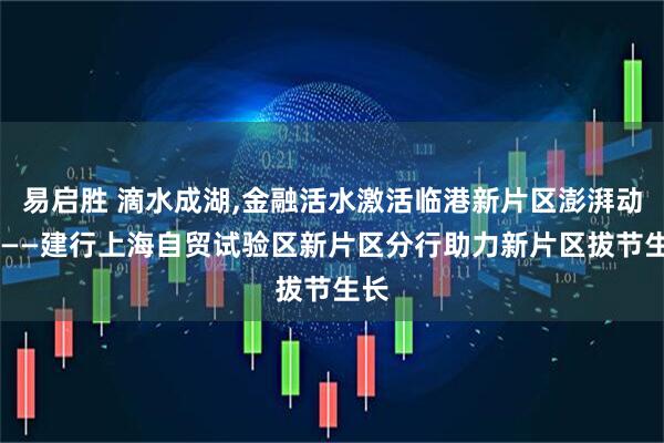 易启胜 滴水成湖,金融活水激活临港新片区澎湃动能 ——建行上海自贸试验区新片区分行助力新片区拔节生长
