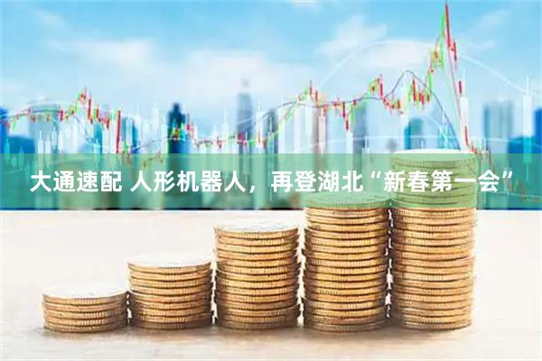 大通速配 人形机器人，再登湖北“新春第一会”