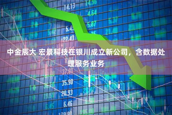 中金辰大 宏景科技在银川成立新公司，含数据处理服务业务