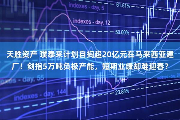 天胜资产 璞泰来计划自掏超20亿元在马来西亚建厂！剑指5万吨负极产能，短期业绩却难迎春？