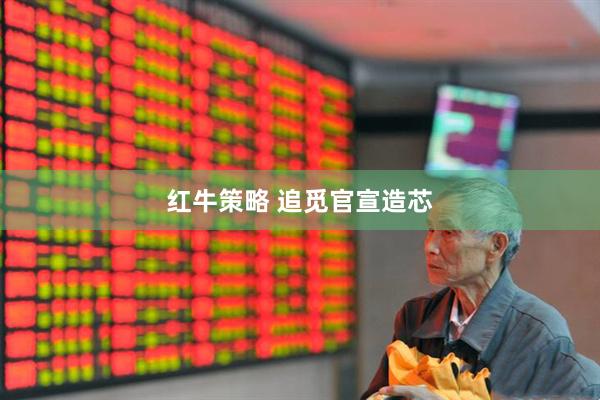 红牛策略 追觅官宣造芯