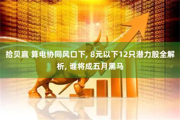 拾贝赢 算电协同风口下, 8元以下12只潜力股全解析, 谁将成五月黑马