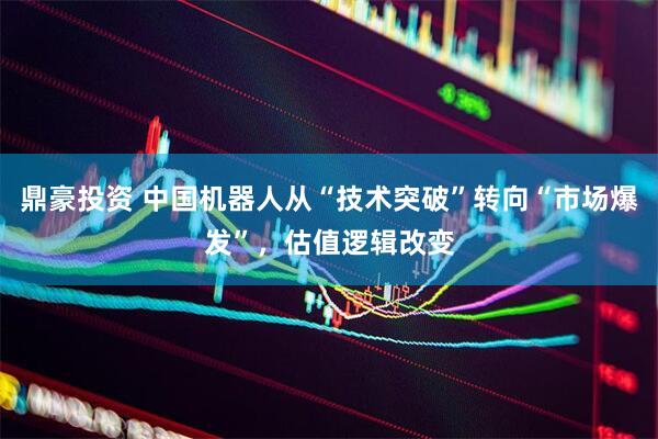 鼎豪投资 中国机器人从“技术突破”转向“市场爆发”，估值逻辑改变