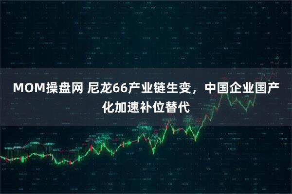 MOM操盘网 尼龙66产业链生变，中国企业国产化加速补位替代