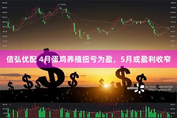 信弘优配 4月蛋鸡养殖扭亏为盈,5月或盈利收窄