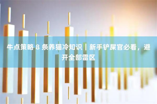 牛点策略 8 条养猫冷知识｜新手铲屎官必看，避开全部雷区