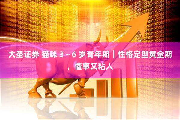 大圣证券 猫咪 3～6 岁青年期｜性格定型黄金期，懂事又粘人