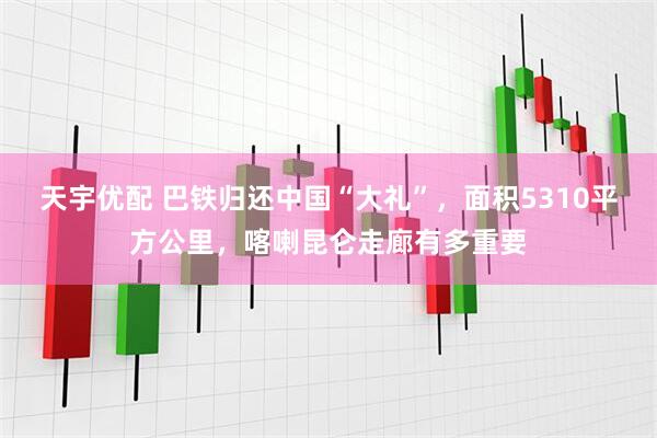 天宇优配 巴铁归还中国“大礼”，面积5310平方公里，喀喇昆仑走廊有多重要