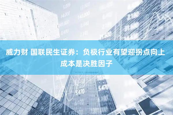 威力财 国联民生证券：负极行业有望迎拐点向上 成本是决胜因子
