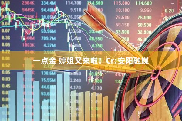 一点金 婷姐又来啦！Cr:安阳融媒