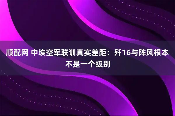 顺配网 中埃空军联训真实差距：歼16与阵风根本不是一个级别
